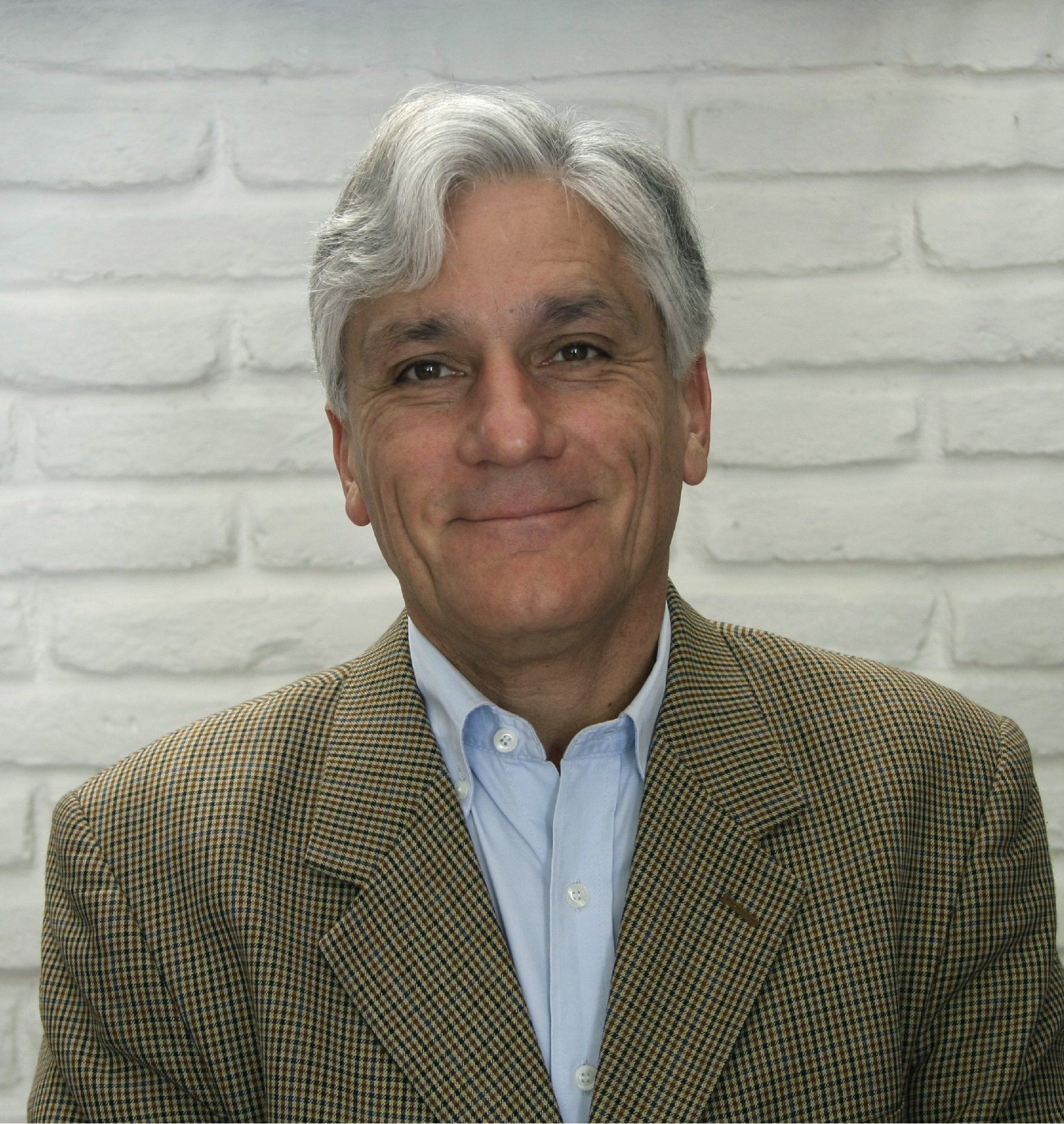 Julio Sagües H. 