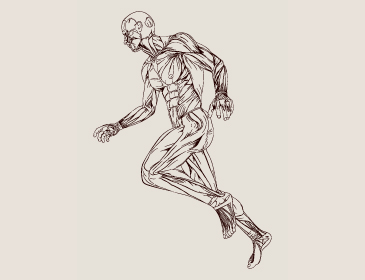 Estadía de Perfeccionamiento en Radiología Músculo Esquelética Clínica Dávila- Clínica Universidad de los Andes