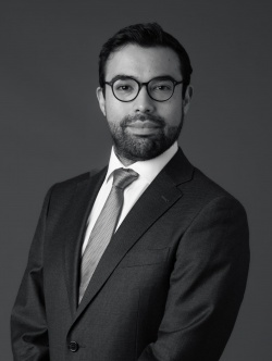 Ignacio Araya Paredes