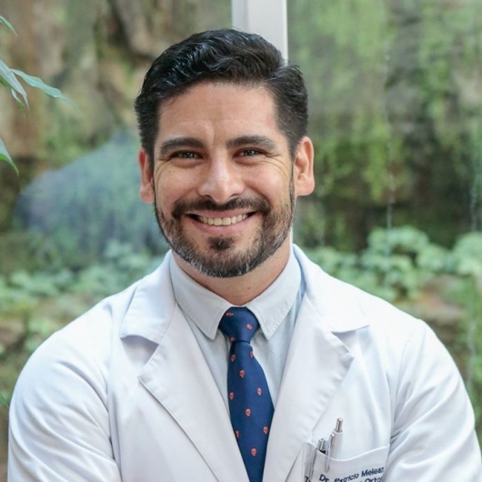 Dr. Patricio Meleán