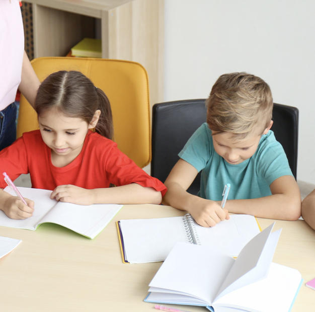 Directora del programa