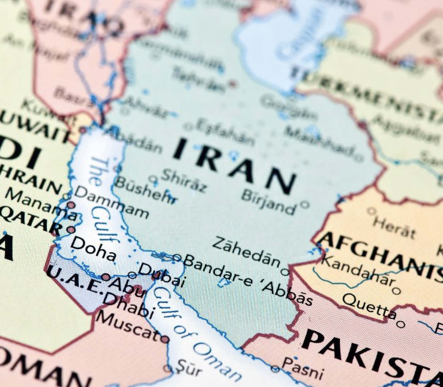 Directora del programa