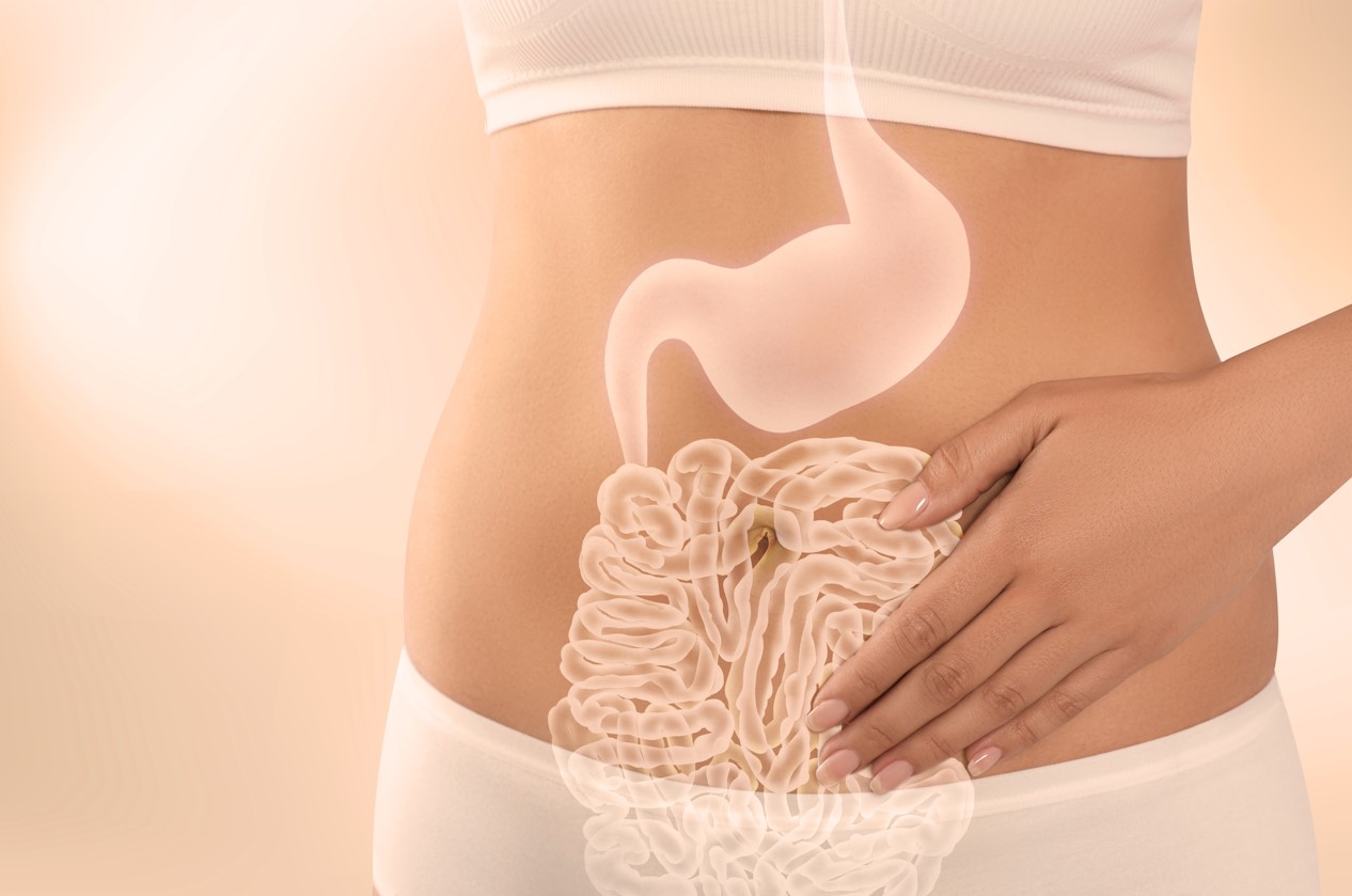 Curso Nutrición para la Salud Intestinal