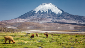 Inversión en turismo: ¿por qué el sector necesita incorporar una mirada económica y estratégica?