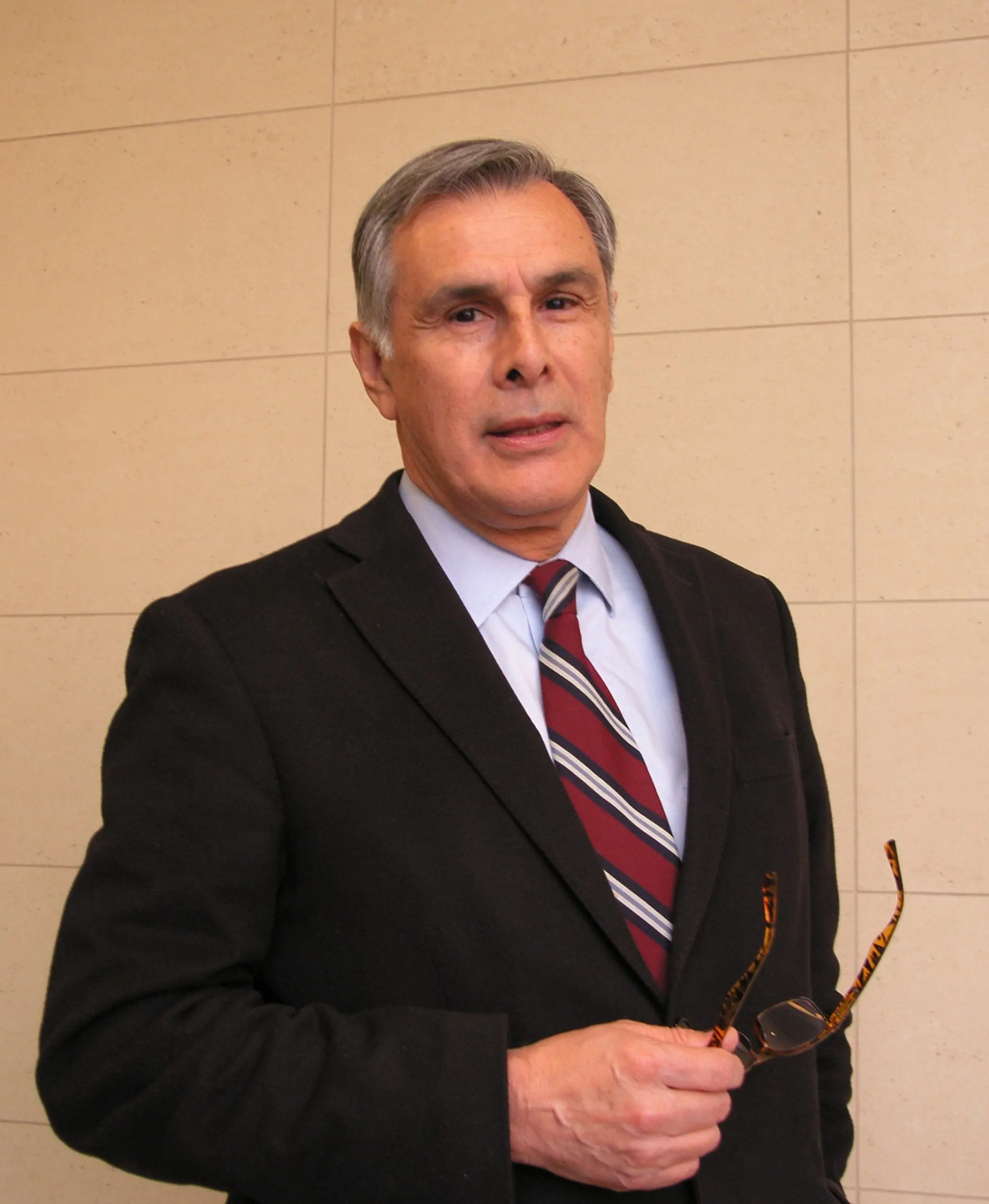 Vicente Aránguiz Freyhofer