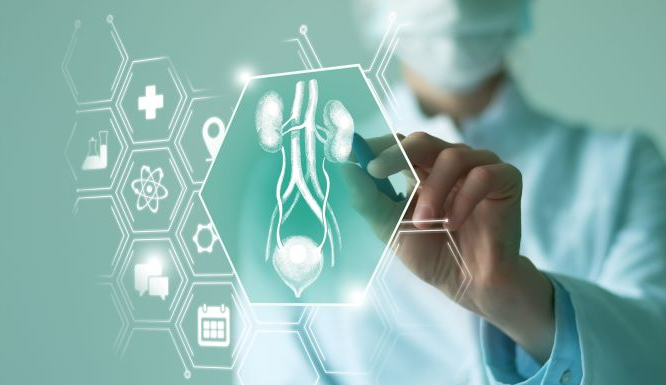 Estadía de Capacitación en Urología