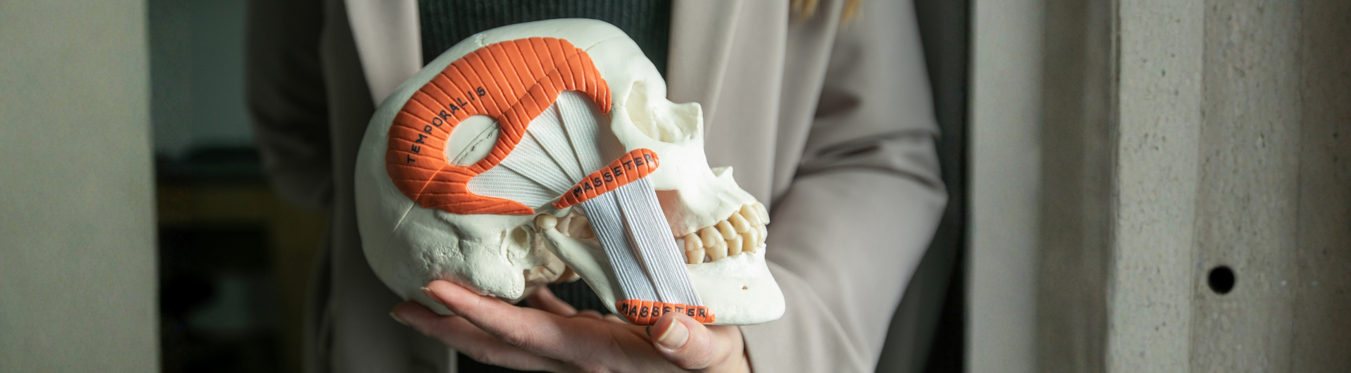 Diplomado en Fundamentos de la Kinesiología Maxilofacial