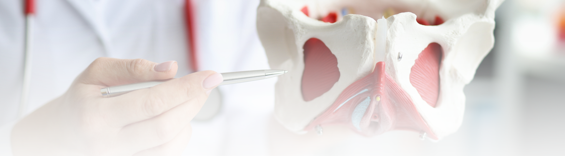 Curso introducción al manejo integral de pacientes con patologías del piso pélvico