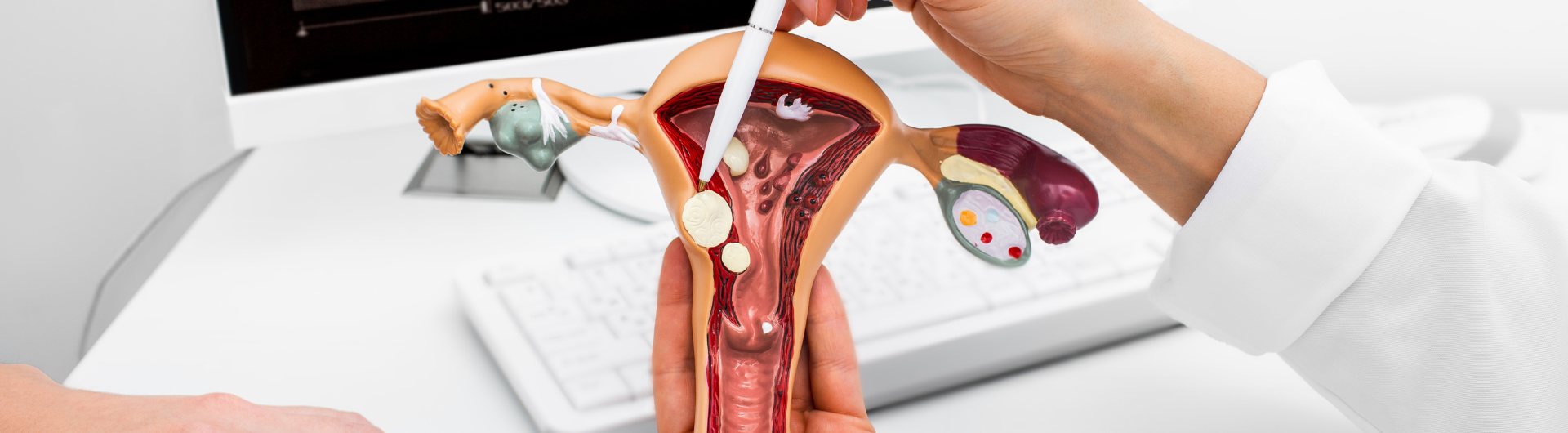Curso de Actualización: Prevención en Ginecología y Obstetricia