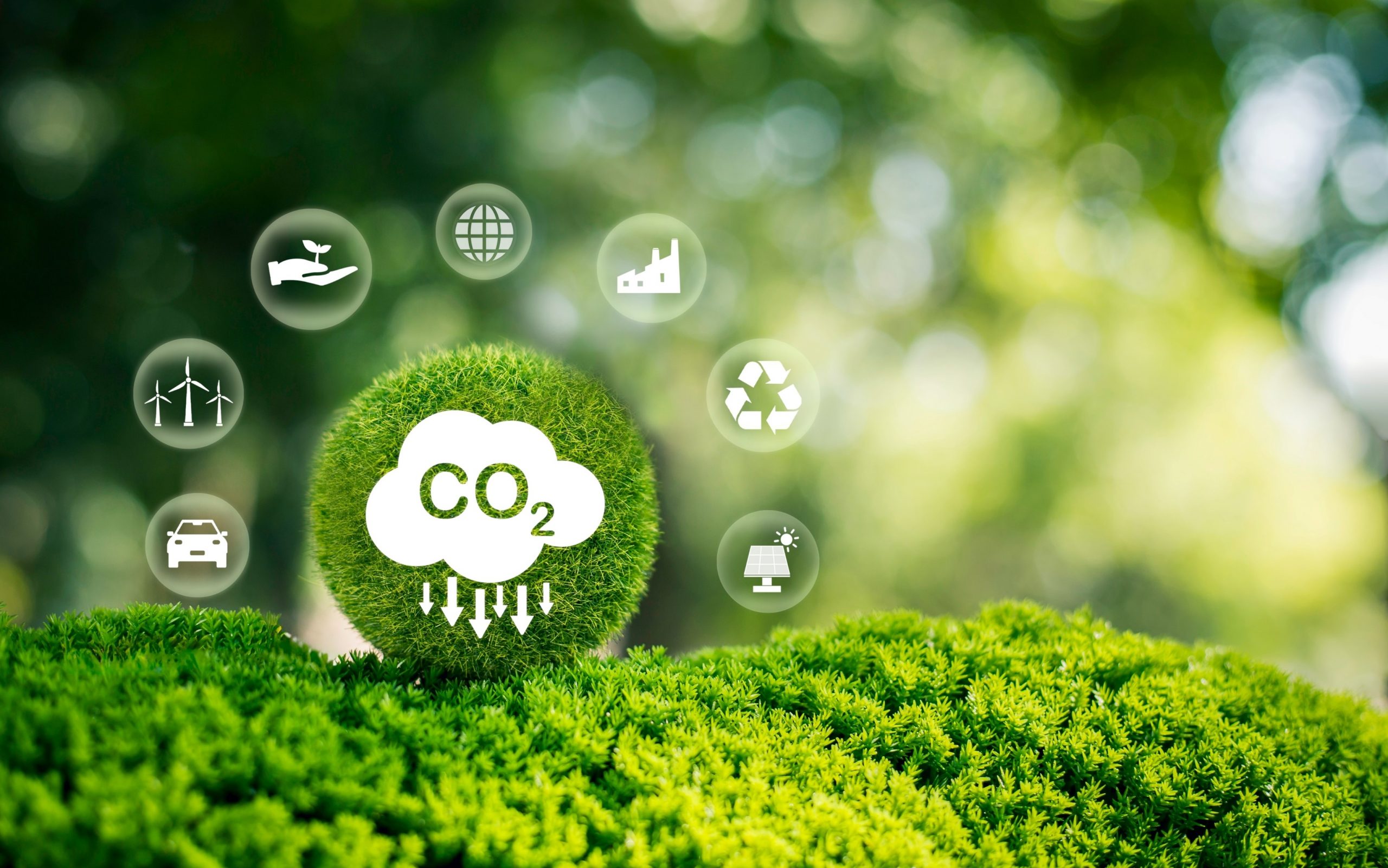 Webinar Huella de Carbono: Claves para un Emprendimiento Sostenible