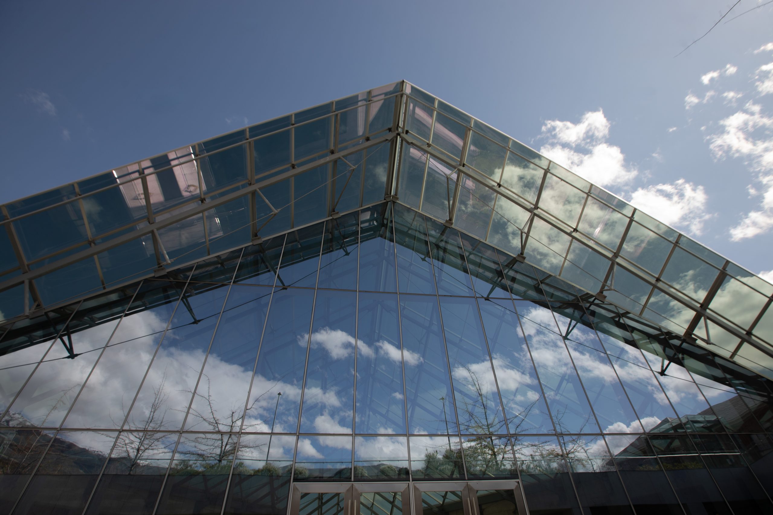 Caducidad de la marca por falta de uso: Aspectos prácticos y probatorios