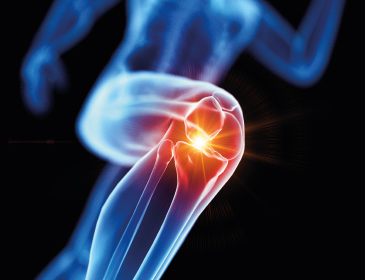 Estadía de Perfeccionamiento (Fellowship) en Cirugía de Rodilla de Adultos HTS