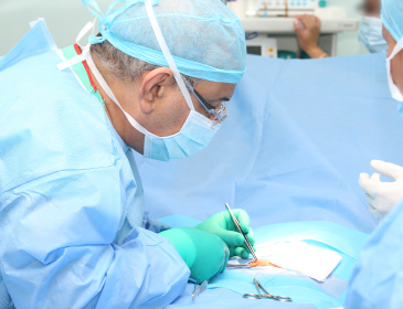 Estadía de Perfeccionamiento (Fellowship) en Cirugía de la Pared Abdominal y Hernias