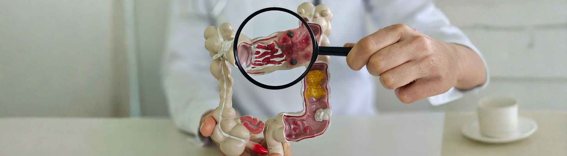 Estadía de Perfeccionamiento e Investigación en Cirugía Colorrectal