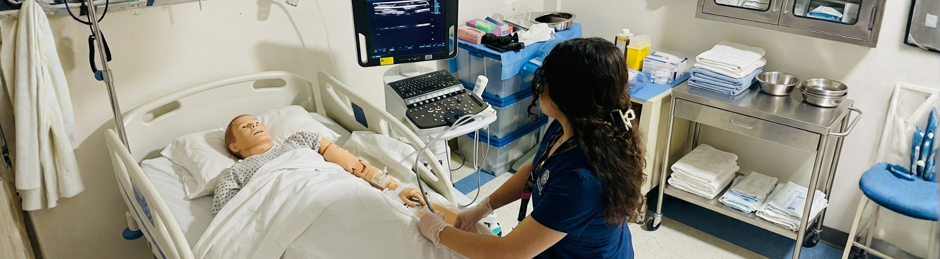 Curso Certificado de Instalación de Accesos Vasculares