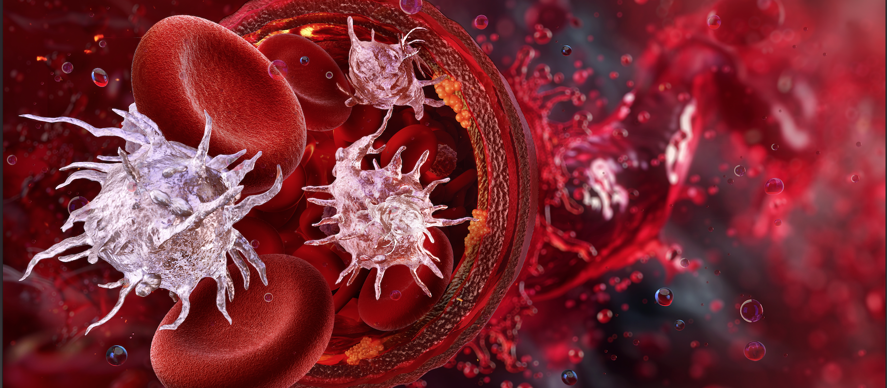 Curso Evaluación Viscoelástica de la Hemostasia