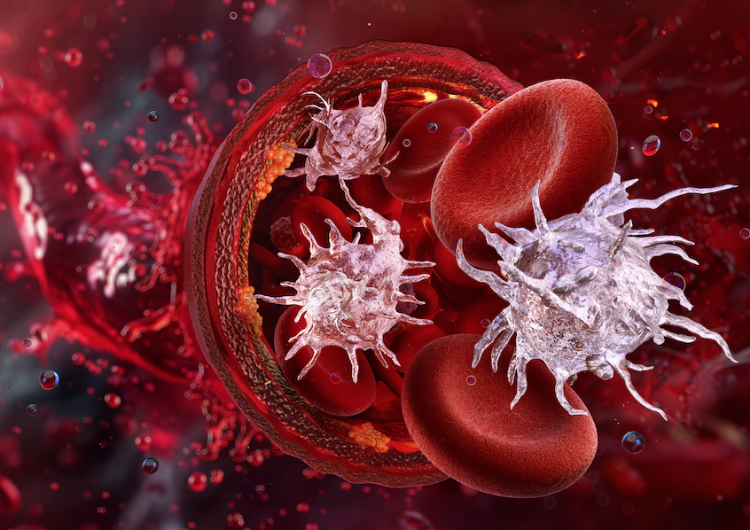 Curso Evaluación Viscoelástica de la Hemostasia