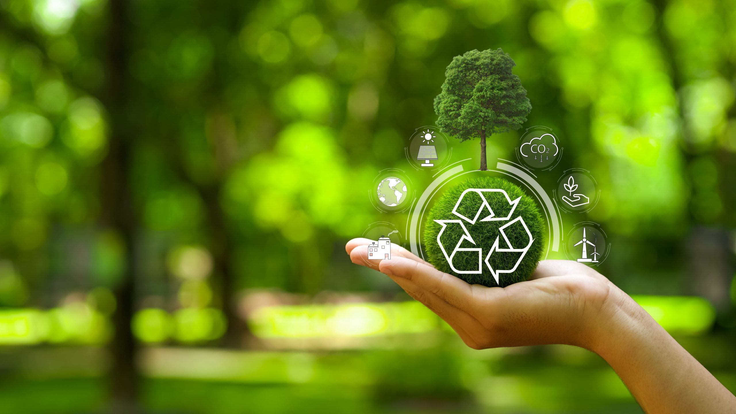 Seminario Internacional: "Soluciones basadas en la Naturaleza: Experiencias nacionales e internacionales"