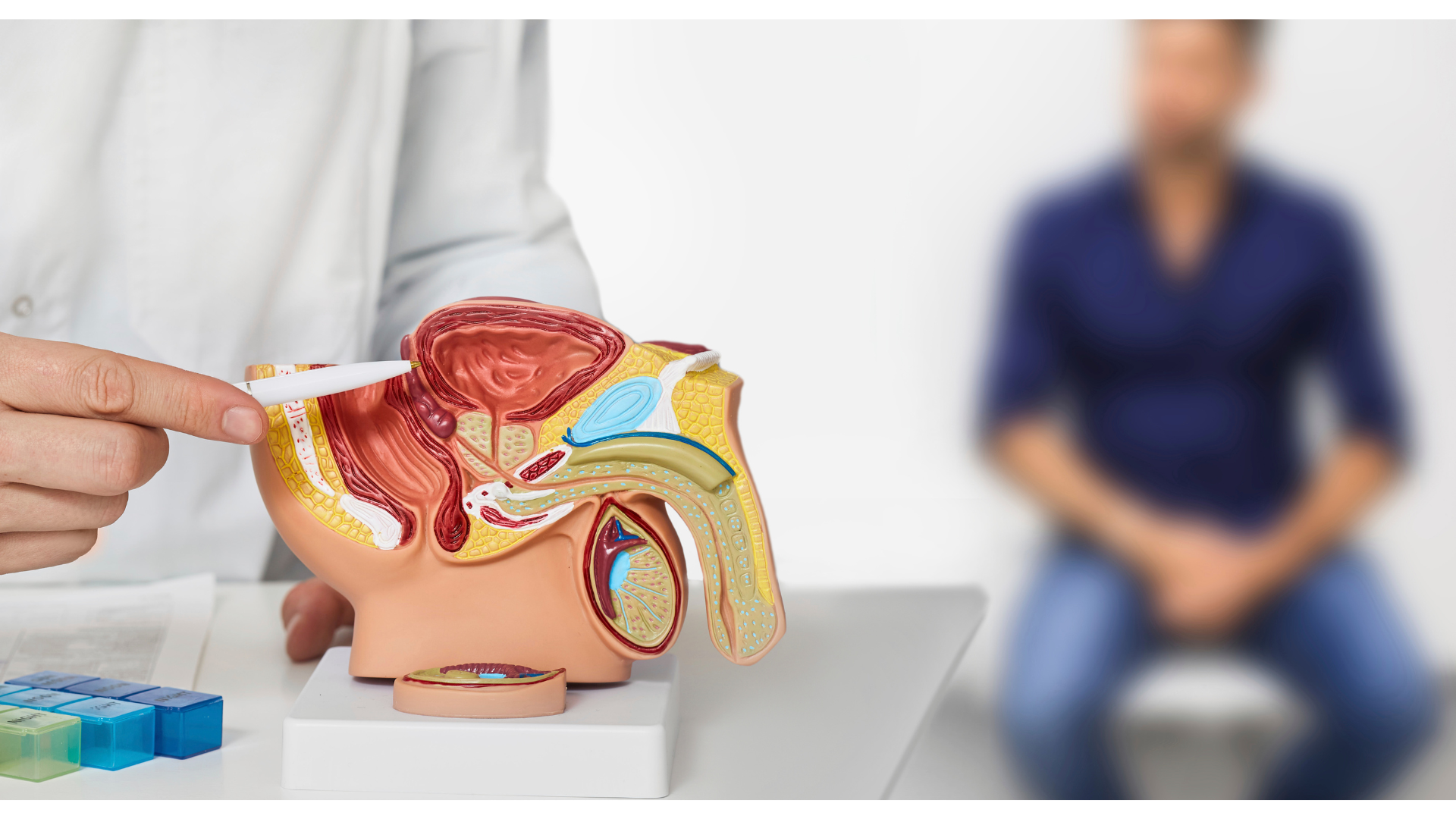 Estadía de Capacitación en Urología